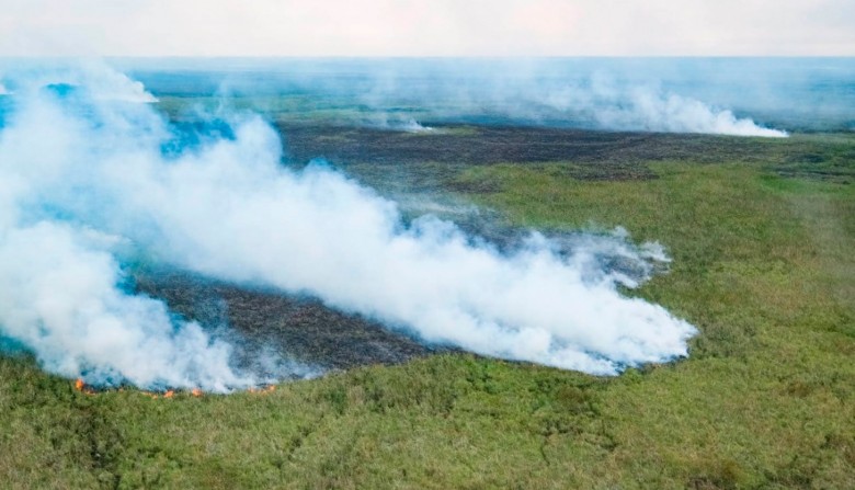 Varios incendios de campo en el Área Metropolitana