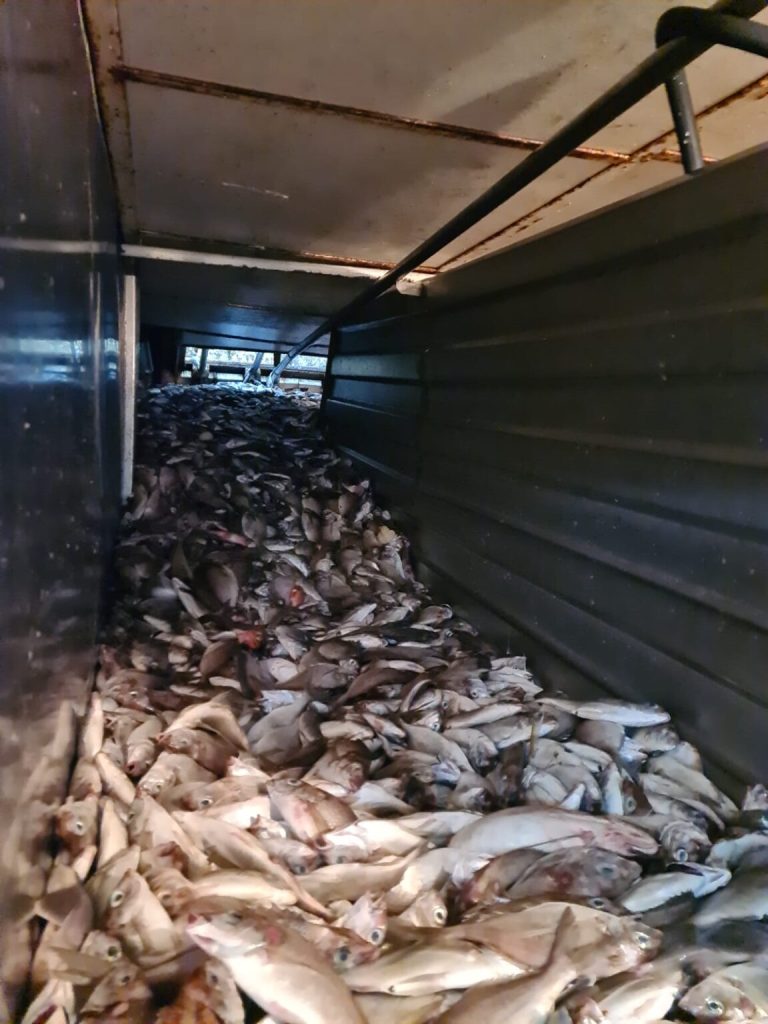 Mutiny on board a fishing boat: 10 tons of fish rot