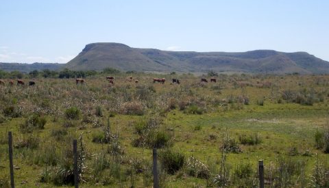 La Cuchilla de Haedo con los Cerros Chatos - Diario La R