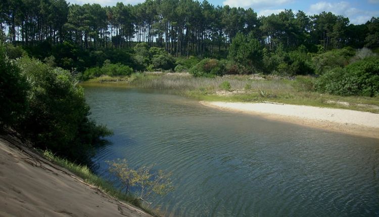 ARROYO el potrero