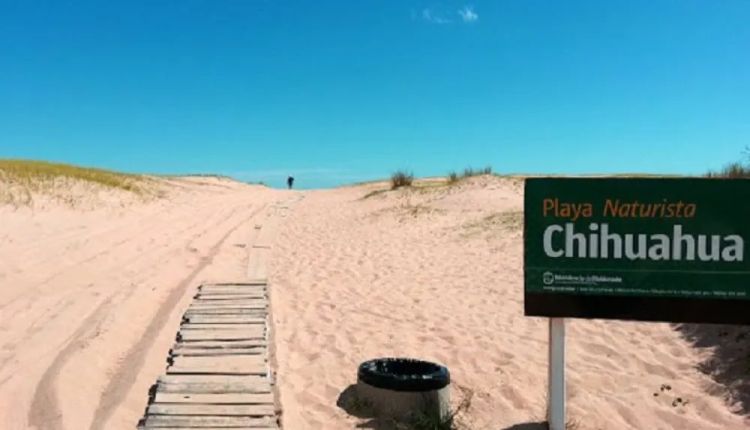 Playa chihuahua