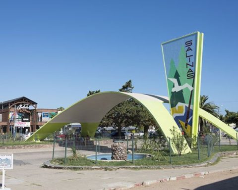 Salinas