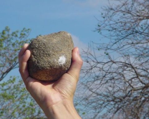 piedra predrada trabajadora