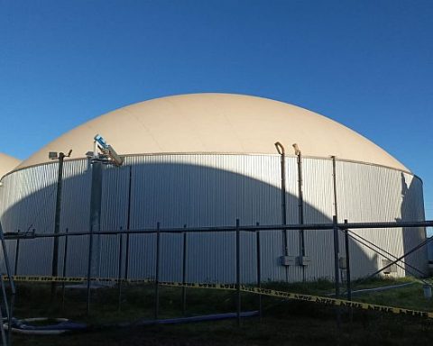 Biodigestor excremento