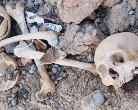 Cráneo humano restos humanos