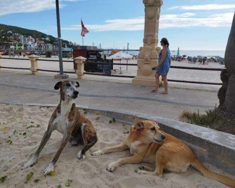 El Flaco y La Gorda