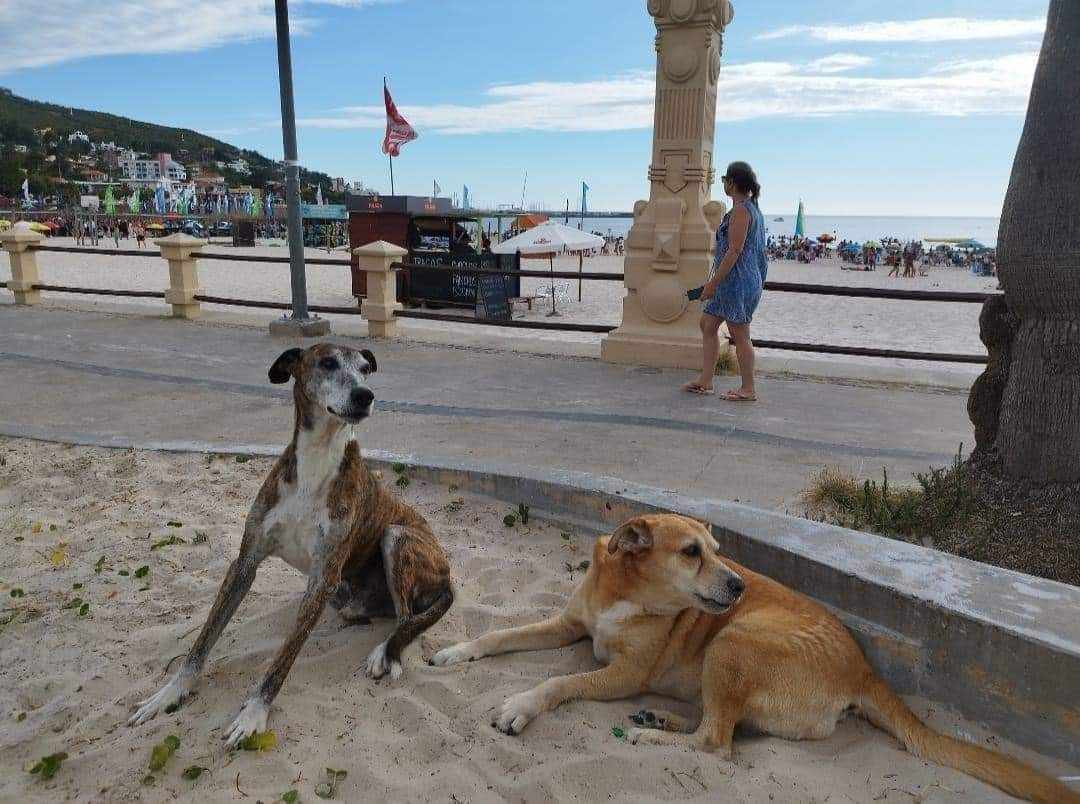 El Flaco y La Gorda