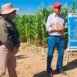 Plantíos de Formosa