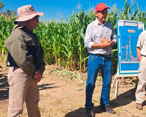 Plantíos de Formosa
