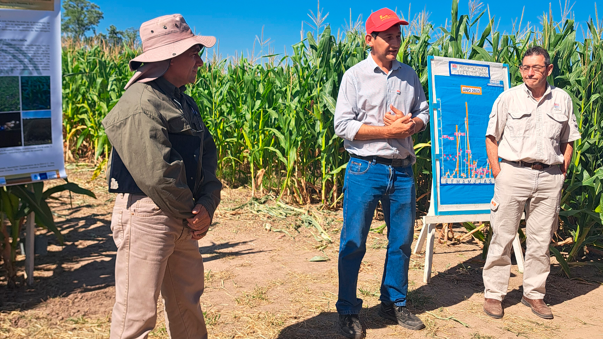Plantíos de Formosa