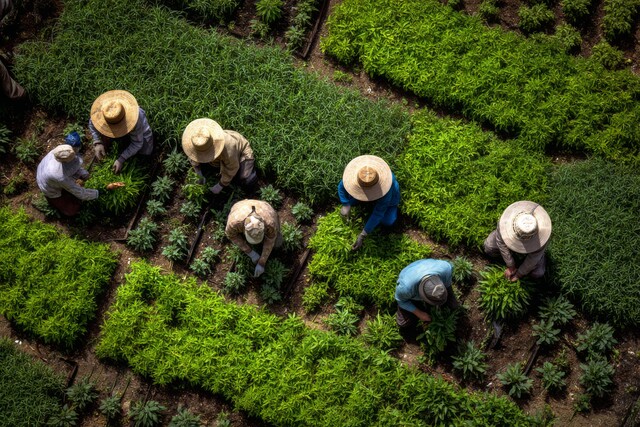 El documento señala que "en ambas poblaciones se aprecia un proceso de envejecimiento"