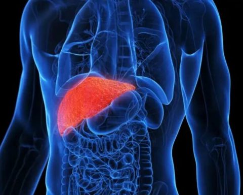 La enfermedad hepática es un término que engloba múltiples afecciones capaces de impedir el correcto funcionamiento del hígado.