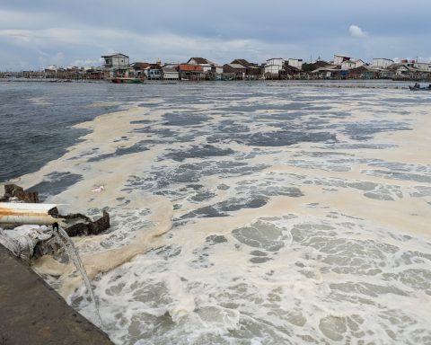 Resulta indispensable la acción oficial continuada para el monitoreo de la calidad del agua