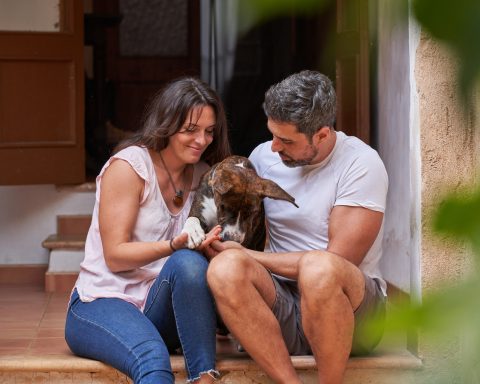 Las mascotas pueden desempeñar un papel crucial en el bienestar emocional