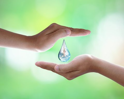 Es preciso protegerla teniendo en cuenta la estabilidad y futuro de las nuevas generaciones.