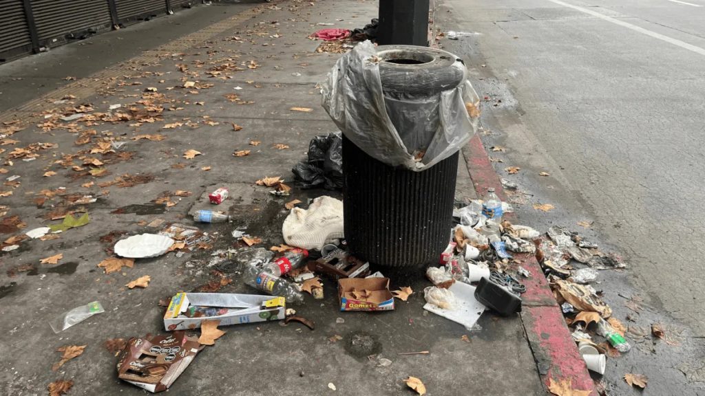  La falta de higiene en vía pública afecta la calidad de vida de los ciudadanos