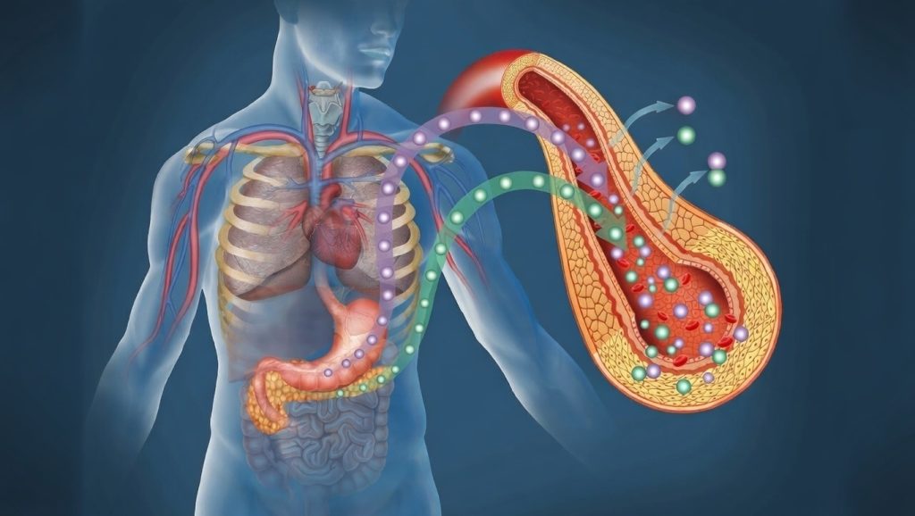 Una dieta alta en azúcar contribuye a problemas de salud 