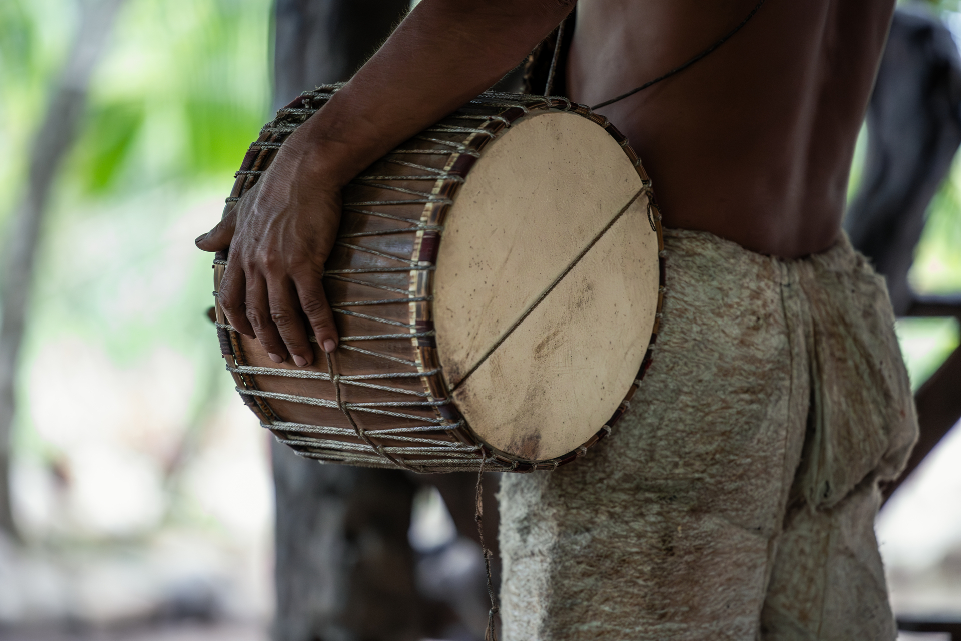 El tambor es un conector de raíces