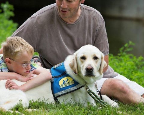 Expertos aseguran que las mascotas es una buena terapia para personas con afecciones en el neurodesarrollo