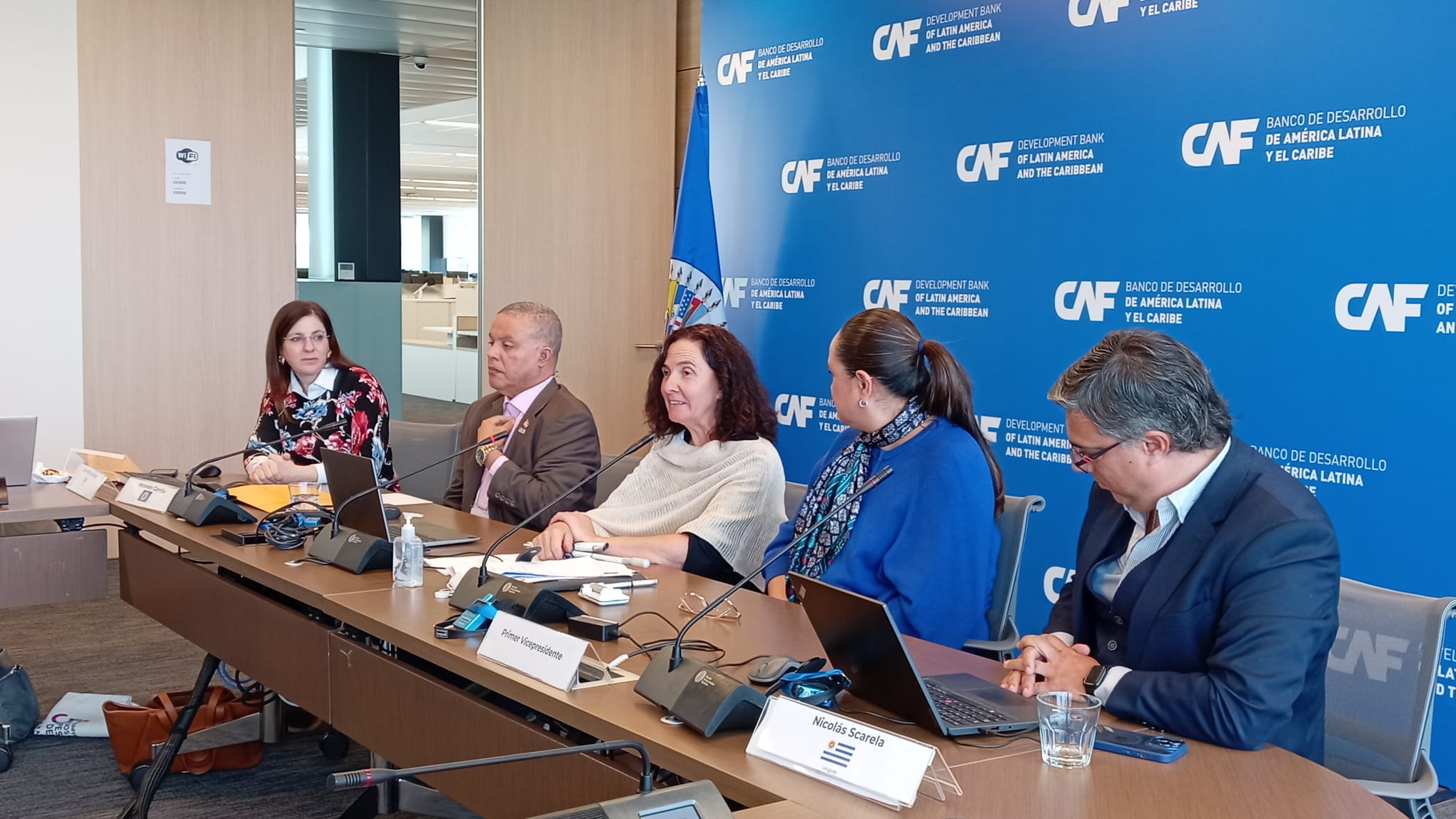 La reunión del Comité para la Eliminación de Todas las Formas de Discriminación contra las Personas con Discapacidad (CEDDIS) se realizó en Montevideo.