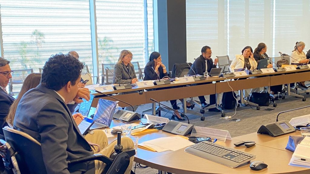 La instancia convocó a representantes de los Estados parte con el objetivo de intercambiar experiencias y analizar los avances en la implementación de la Convención Interamericana.
