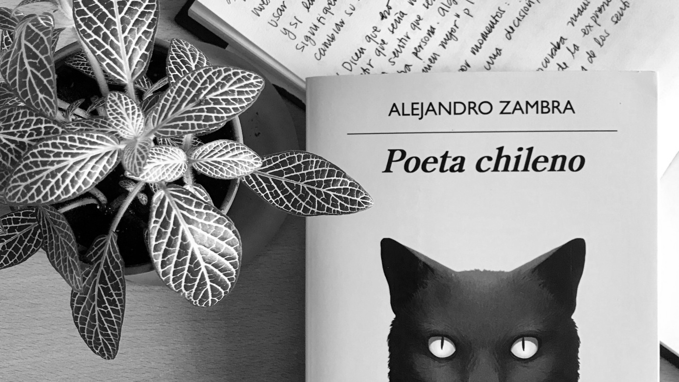 La obra representa una incursión del autor en la metaliteratura