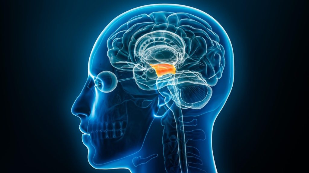 La enfermedad de Parkinson se produce por la muerte progresiva de un grupo específico de neuronas