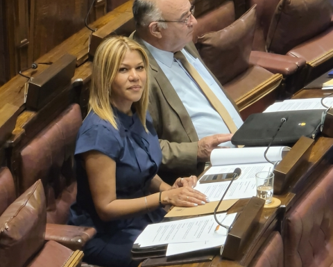 Se presentó un proyecto de ley de Residencia por Arraigo