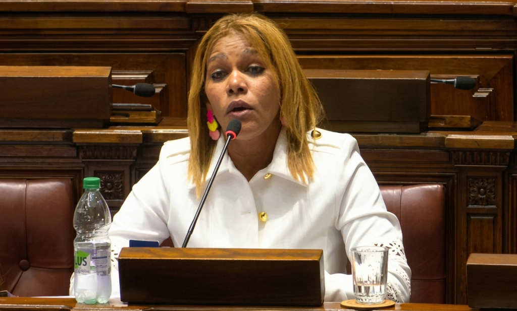 El proyecto “no procura abrir indiscriminadamente las puertas, sino que requiere requisitos objetivos y verificables