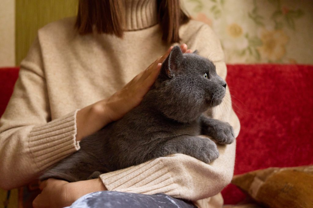 El nivel de sufrimiento depende de factores como la edad y personalidad del dueño