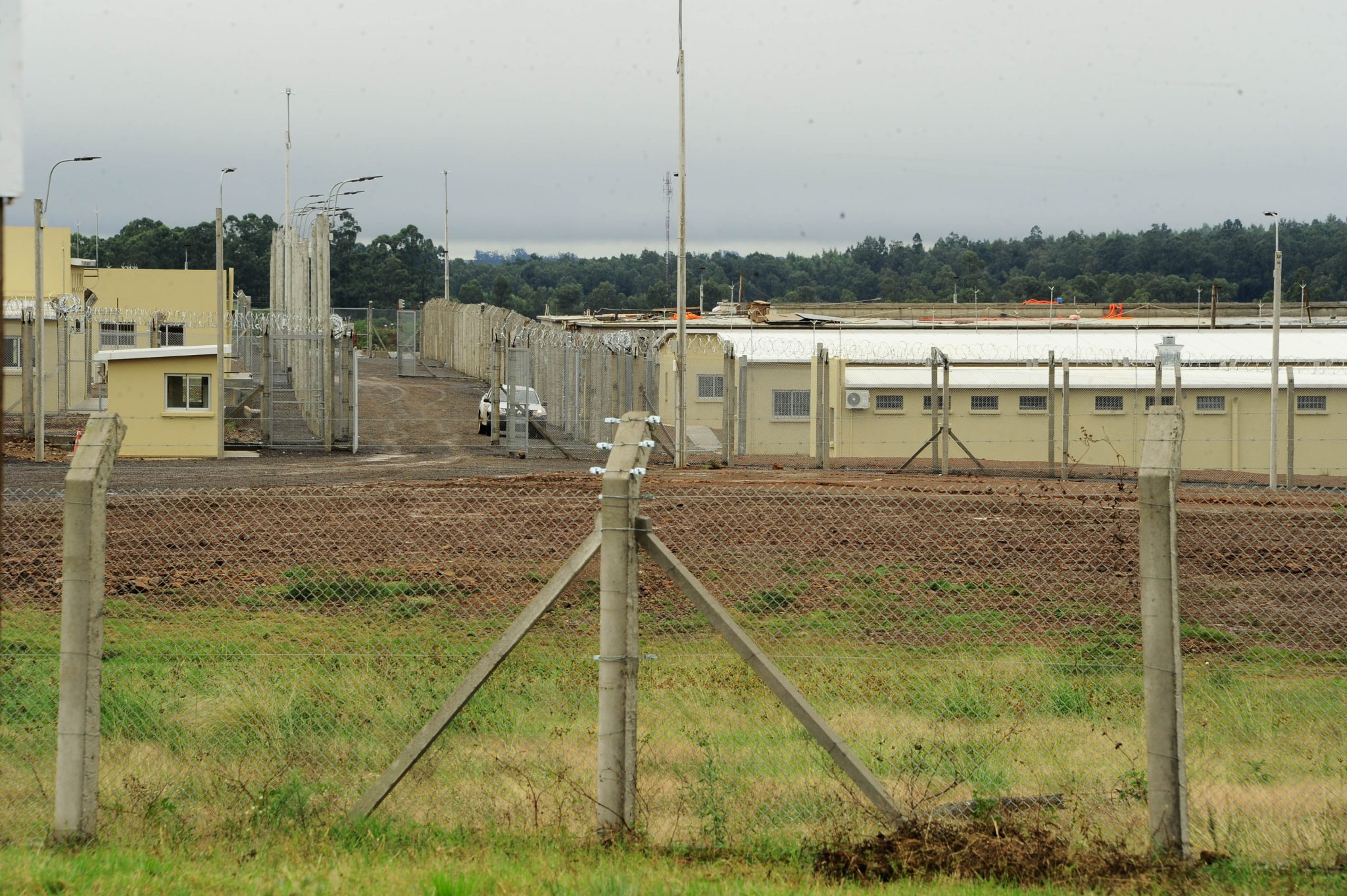 Proyecto de ley propone trasladar a los liberados a sus ciudades de origen