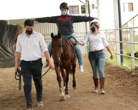 Las mascotas ayudan a controlar emociones, reducen el estrés y mejoran las habilidades sociales