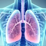 Los pulmones no solo oxigenan el cuerpo, sino que también actúan como un filtro que retiene partículas y microorganismos